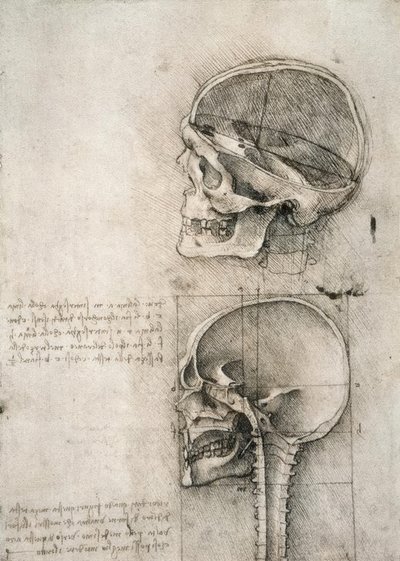 Senso comune von Leonardo da Vinci